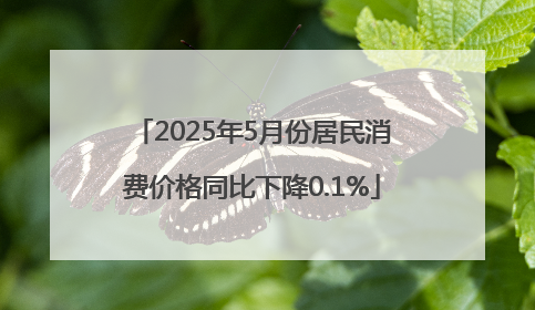 2025年5月份居民消费价格同比下降0.1%