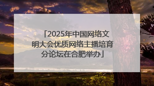 2025年中国网络文明大会优质网络主播培育分论坛在合肥举办