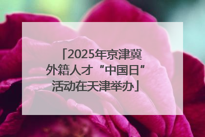 2025年京津冀外籍人才“中国日”活动在天津举办