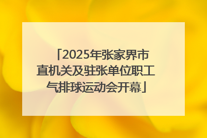 2025年张家界市直机关及驻张单位职工气排球运动会开幕