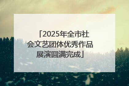 2025年全市社会文艺团体优秀作品展演圆满完成