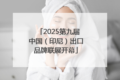 2025第九届中国（印尼）出口品牌联展开幕