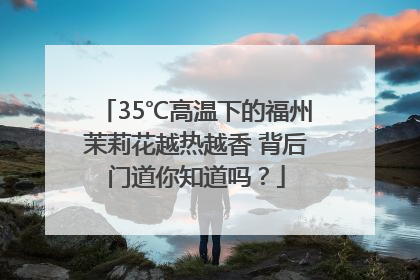 35℃高温下的福州茉莉花越热越香 背后门道你知道吗？