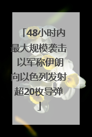 48小时内最大规模袭击 以军称伊朗向以色列发射超20枚导弹