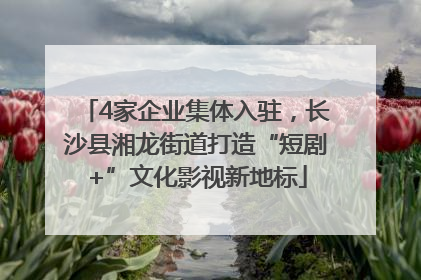 4家企业集体入驻，长沙县湘龙街道打造“短剧+”文化影视新地标