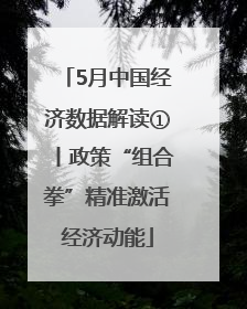 5月中国经济数据解读①丨政策“组合拳”精准激活经济动能
