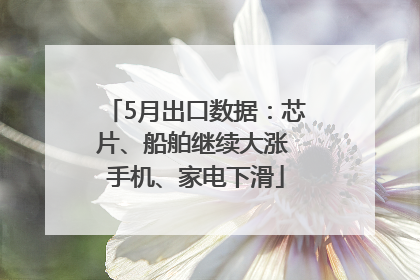 5月出口数据：芯片、船舶继续大涨 手机、家电下滑
