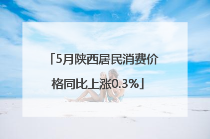 5月陕西居民消费价格同比上涨0.3%