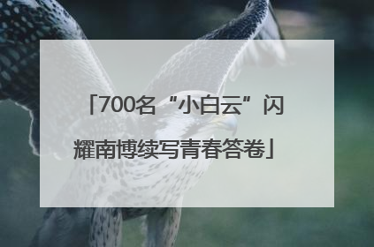 700名“小白云”闪耀南博续写青春答卷