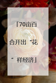 70亩百合开出“花”样经济