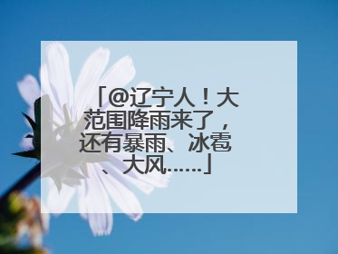 @辽宁人！大范围降雨来了，还有暴雨、冰雹、大风……