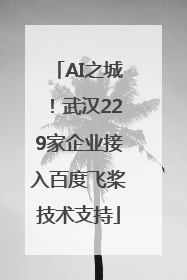 AI之城！武汉229家企业接入百度飞桨技术支持