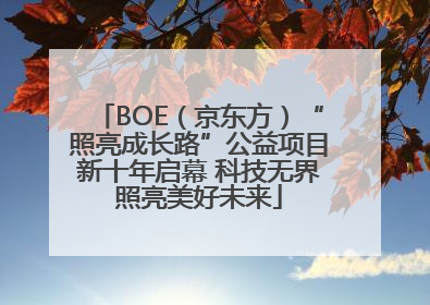 BOE（京东方）“照亮成长路”公益项目新十年启幕 科技无界照亮美好未来
