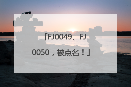 FJ0049、FJ0050，被点名！