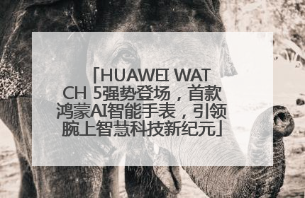 HUAWEI WATCH 5强势登场，首款鸿蒙AI智能手表，引领腕上智慧科技新纪元