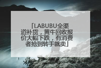 LABUBU全渠道补货，黄牛回收报价大幅下跌，有消费者抢到转手就卖